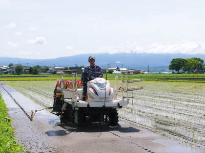 熊本の安全で美味しいお米の紹介!その3:惜しまぬ手間ひまの匠が美しすぎる田んぼで育てた『七城米』_a0254656_17141465.jpg