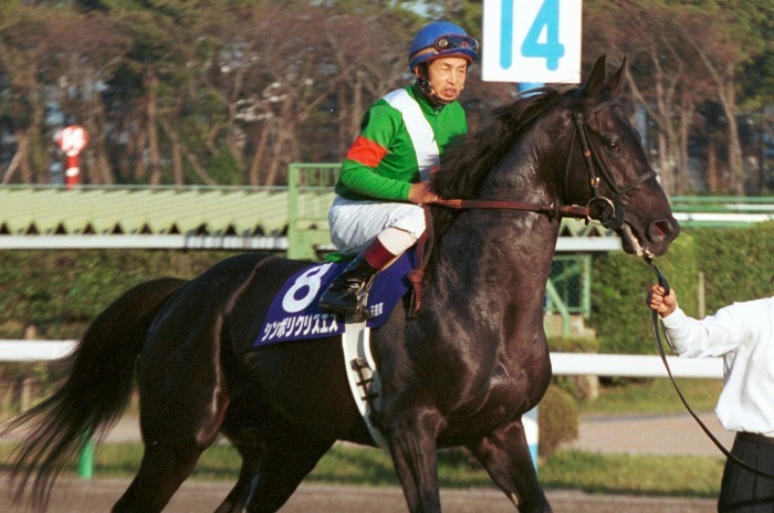 追悼 シンボリクリスエス : Turfに魅せられて（写真紀行）