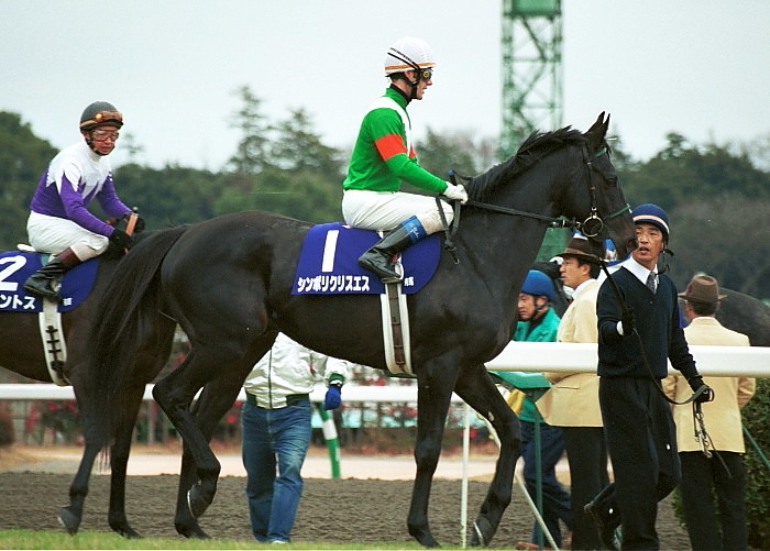 追悼 シンボリクリスエス : Turfに魅せられて・・・(写真紀行) 追悼 シンボリクリスエス : Turfに魅せられて・・・(写真紀行)