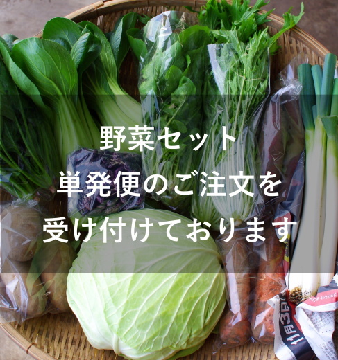 野菜セット単発便のご案内（12/14着分）_c0110869_04554532.jpg