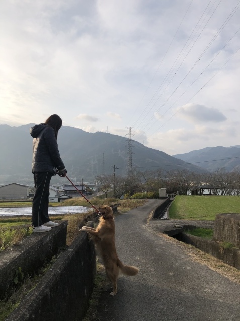 日常。_a0394574_10015968.jpeg