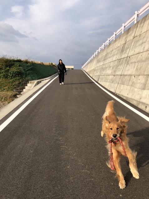 日常。_a0394574_10033488.jpeg