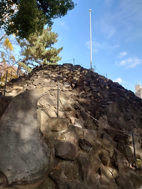 品川神社にお参りして富士塚も登ってみた_a0395883_16575362.jpg