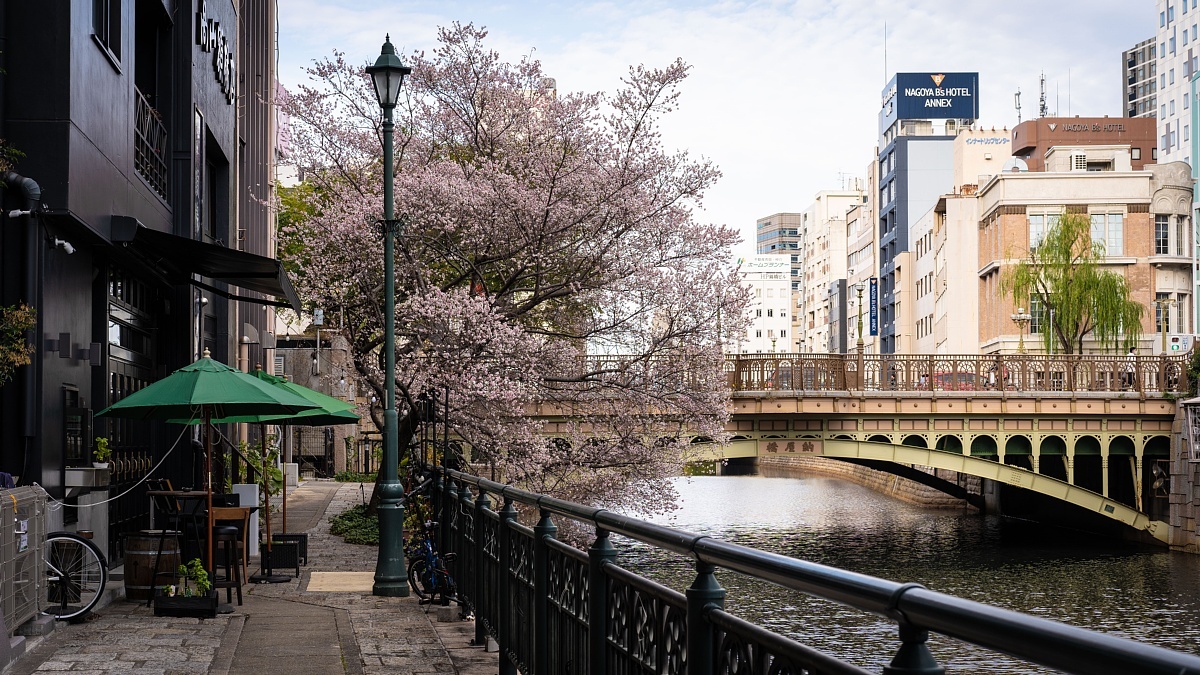 運河を彩る師走の桜_d0353489_20511380.jpg