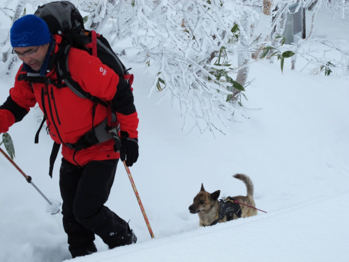 ◎三段山にてシーズンイン with 犬 2020.12.09◎_d0198793_11110270.jpg