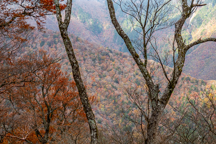 秋沁みる山旅　大峯奥駈道_b0244811_18201343.jpg