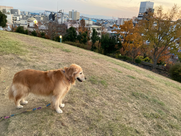 冬は風邪ひくじゃん!_a0098418_21260799.jpg