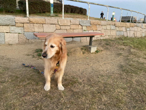 冬は風邪ひくじゃん!_a0098418_21261145.jpg