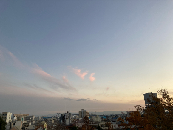冬は風邪ひくじゃん!_a0098418_21262072.jpg