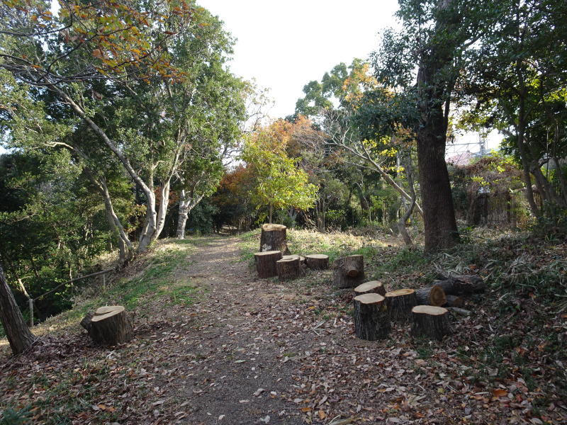 伐採木の片づけ・・・うみべの森_c0108460_13405699.jpg