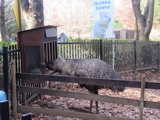 師走の高坂動物園ポタ　１_d0389166_12440746.jpg