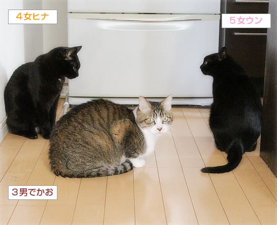 ガサガサ_a0389088_16340733.jpg