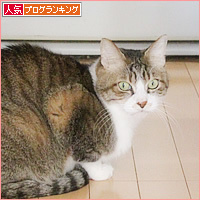 ガサガサ_a0389088_16340747.jpg