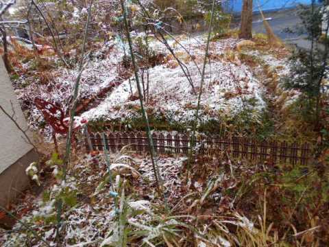 ヒレカツ弁当&雪が降った_f0019498_08190694.jpg