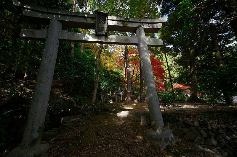 京都の紅葉 嵯峨野 護法堂弁財天 デジタルな鍛冶屋の写真歩記 京都の紅葉 嵯峨野 護法堂弁財天 デジタルな鍛冶屋の写真歩記