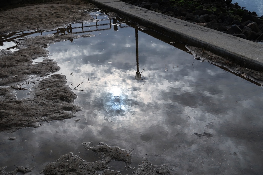 Reflection 雨後の水たまり Memento Vivere 2