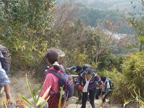 鵯越駅~菊水山~鍋蓋山~摩耶山~六甲ケーブル山上駅_c0218841_12164952.jpg