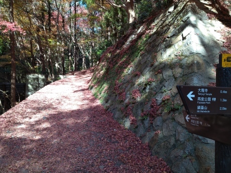 鵯越駅~菊水山~鍋蓋山~摩耶山~六甲ケーブル山上駅_c0218841_12234243.jpg