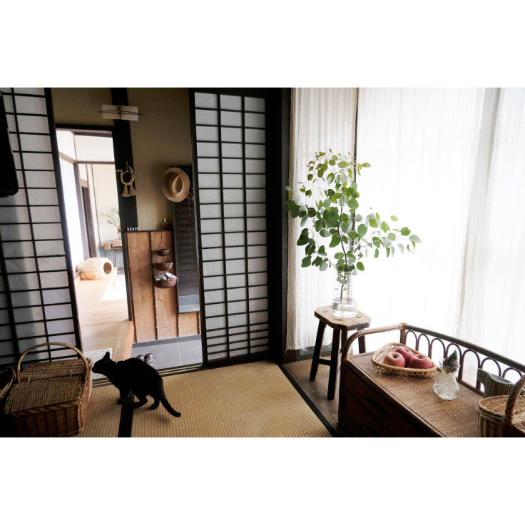 ひそかに、グリーン化計画進行中。_d0227246_12081128.jpg