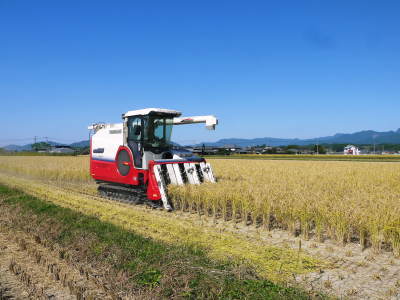 熊本県産!無農薬栽培のひのひかり100%使用の『米粉』大好評販売中!令和3年度の米栽培もスタート!_a0254656_18215394.jpg