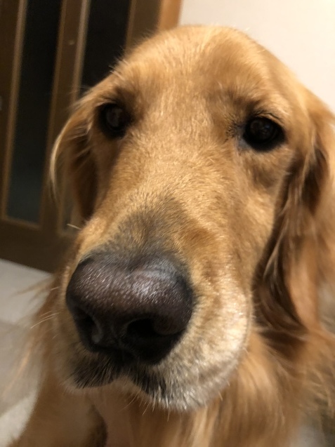 本当の冬。_a0394574_22005955.jpeg