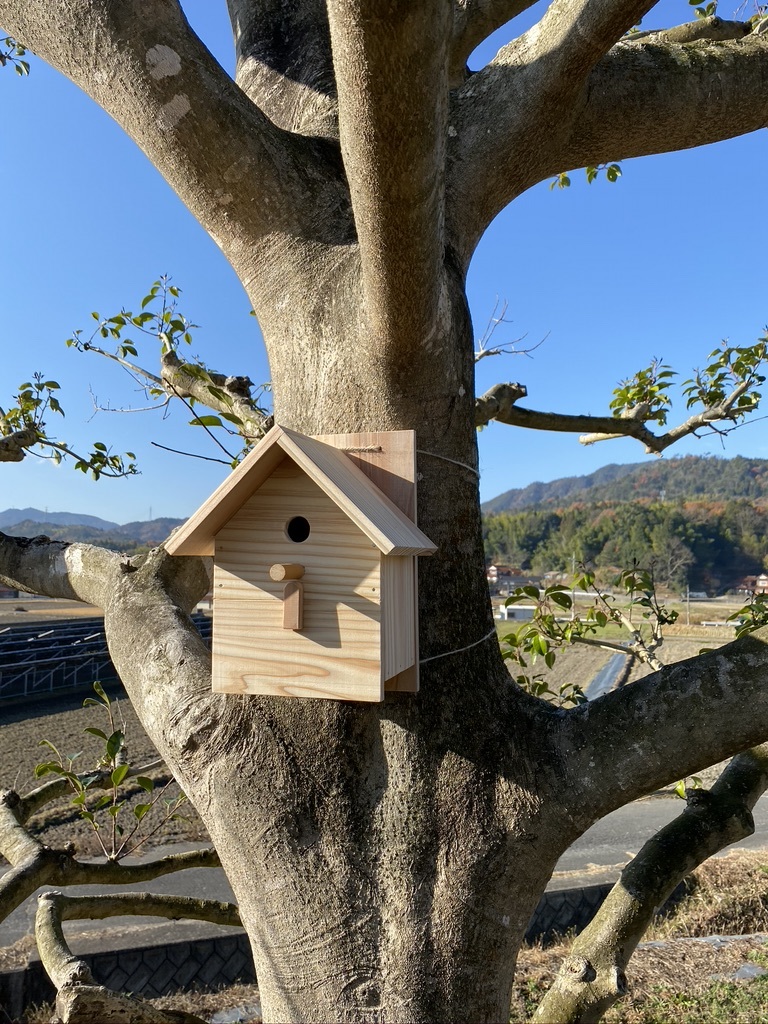 『薪ストーブの火入れ』＆『鳥の巣箱ができました』_c0334574_19435090.jpeg