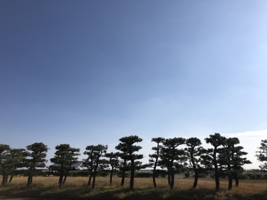母との週末_a0129492_08123497.jpeg