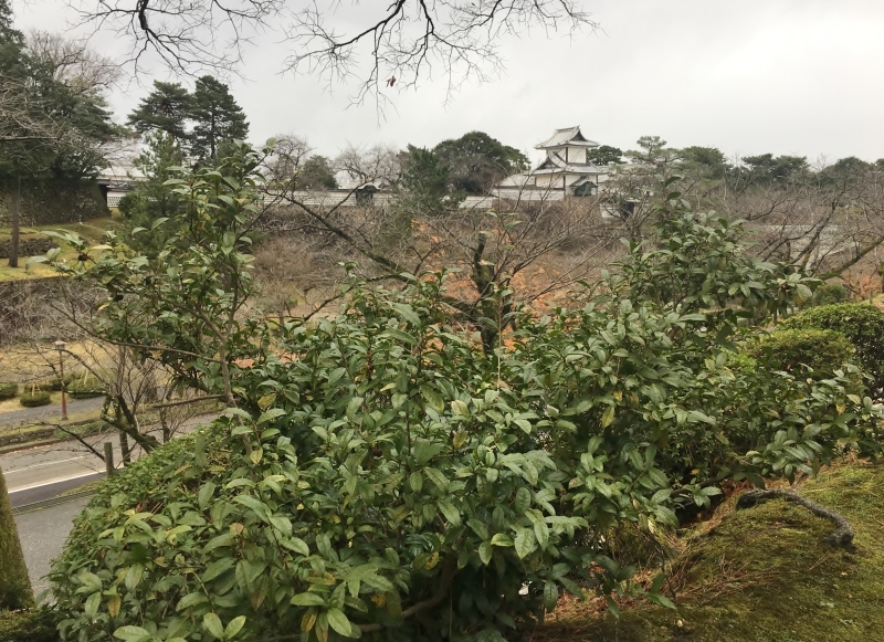 ここだよーーー、と声が聞こえるのです、笑_b0220318_20215321.jpg