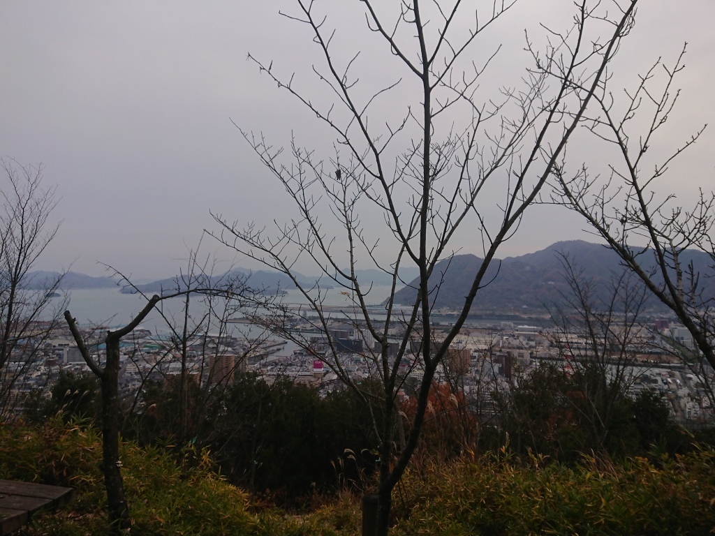 今年、最後の登山「大峰山」から「桜山」_c0339918_15512724.jpg