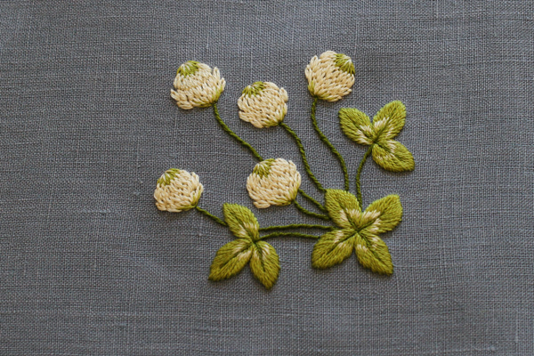 白詰草の刺繍～植物刺繍図鑑より～_e0333647_16164111.jpg