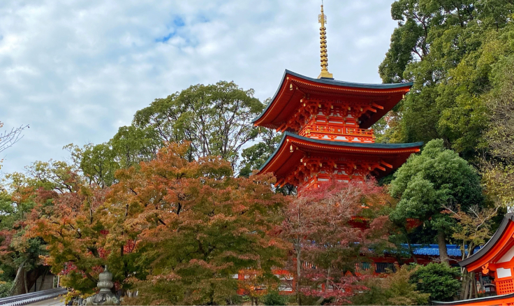 須磨寺の紅葉_b0063958_12311380.jpg