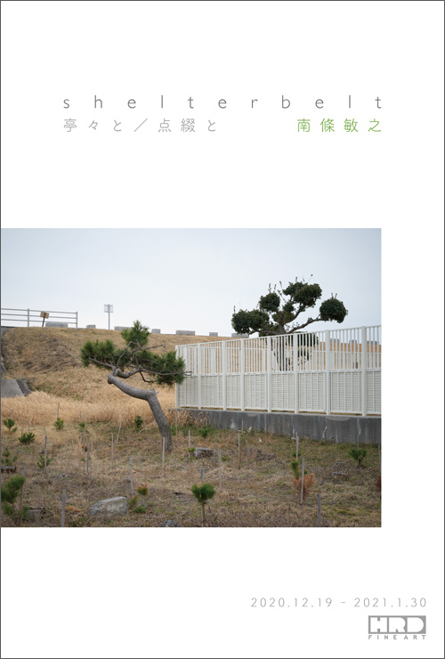 次回展覧会：南條敏之個展「shelterbelt 〜 亭々と／点綴と」_a0123573_03333418.jpg