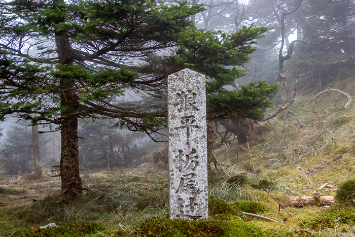 秋沁みる山旅　大峯奥駈道_b0244811_00320375.jpg