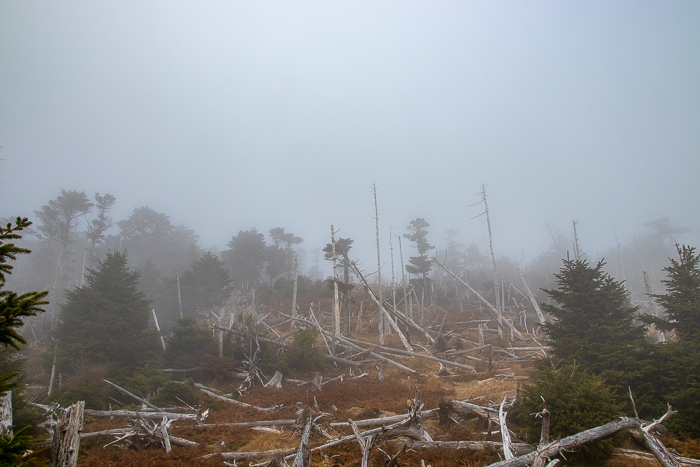 秋沁みる山旅　大峯奥駈道_b0244811_00574840.jpg