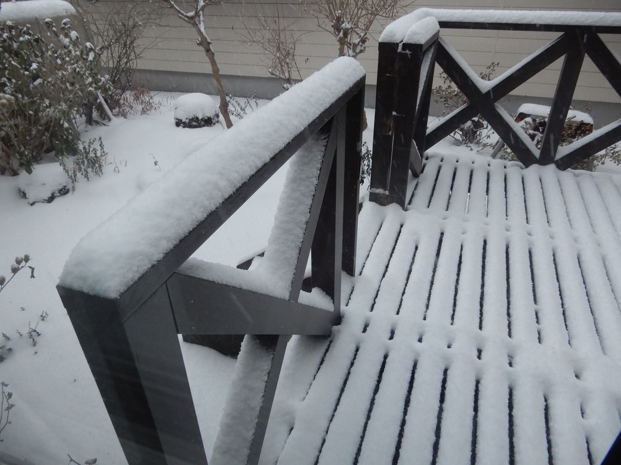 「ドカ雪」ではないものの「根雪」になりそうな積雪_c0025115_21580895.jpg