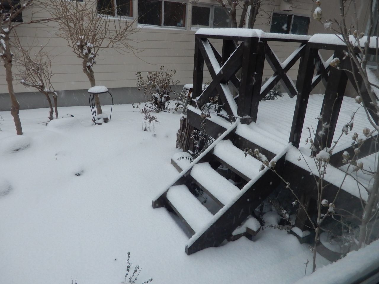 「ドカ雪」ではないものの「根雪」になりそうな積雪_c0025115_21590386.jpg