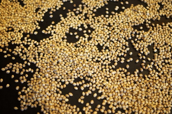 ■自家製保存食【自家焙煎　スペシャル16味唐辛子作りP-1準備編】我が家の年末イベントです。_b0033423_00041371.jpg