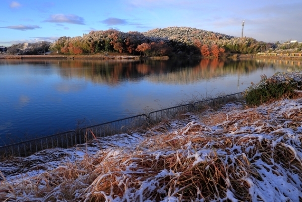 冬の訪れ初雪　　愛知池_b0236595_11293453.jpg