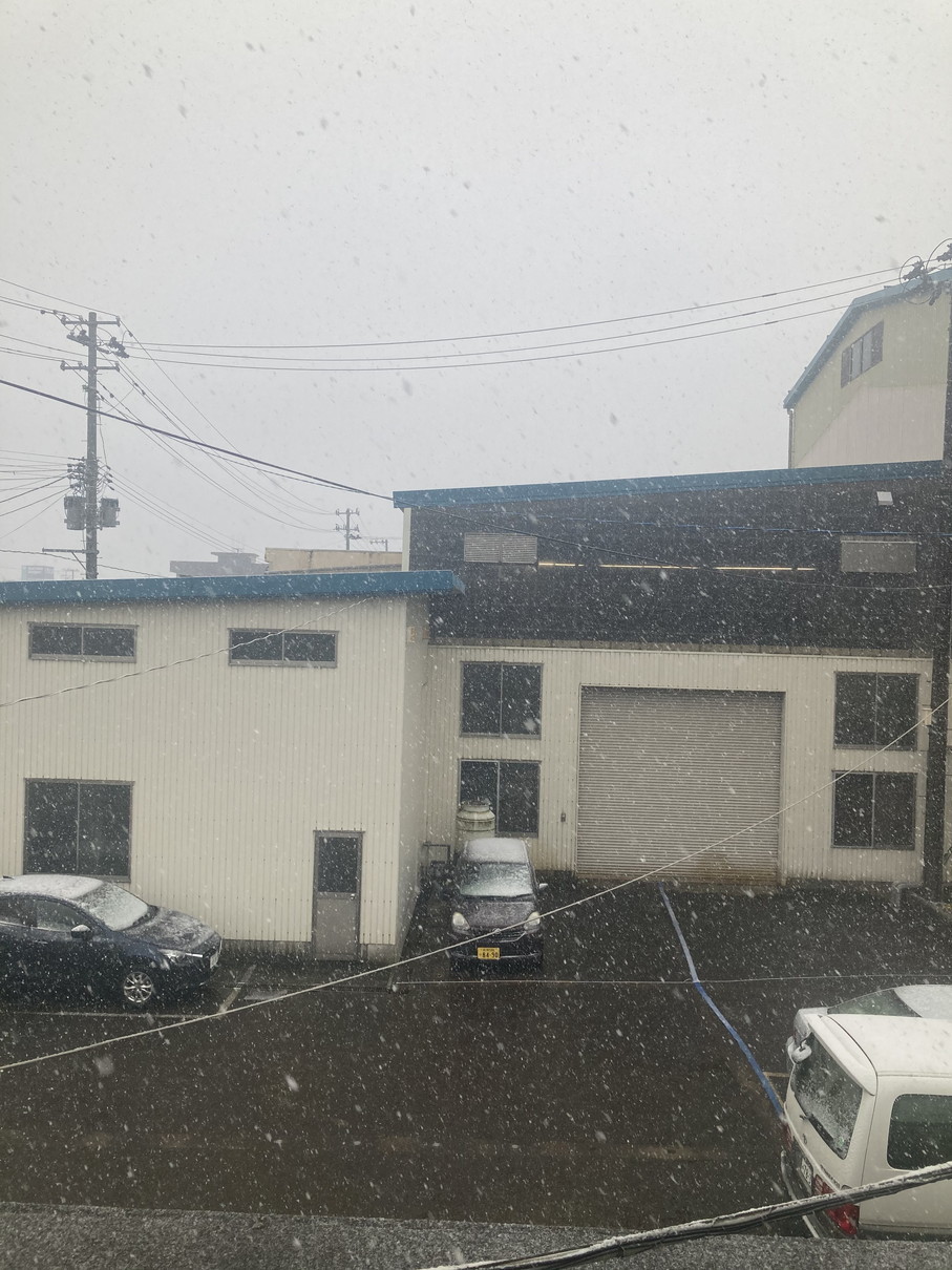初雪&大雪_f0270296_14171546.jpg