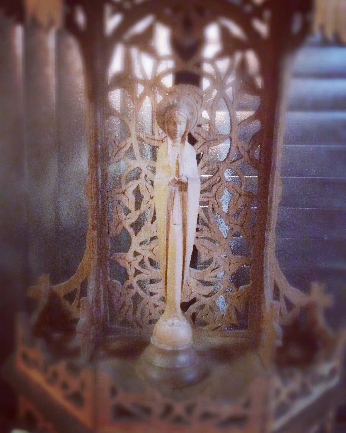 無原罪の聖母マリアの祝日_c0203401_13220641.jpeg