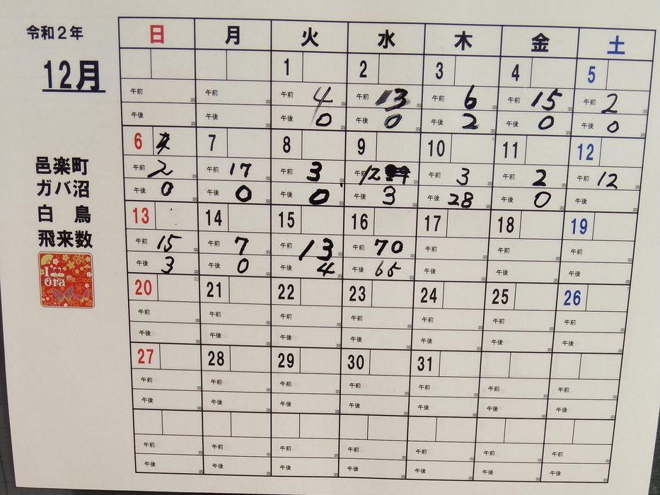 この冬一番冷えた朝・・・多々良沼からやっと富士山がスッキリ見えた!そして・白鳥がオーバーラップ♪_a0031821_21491623.jpg