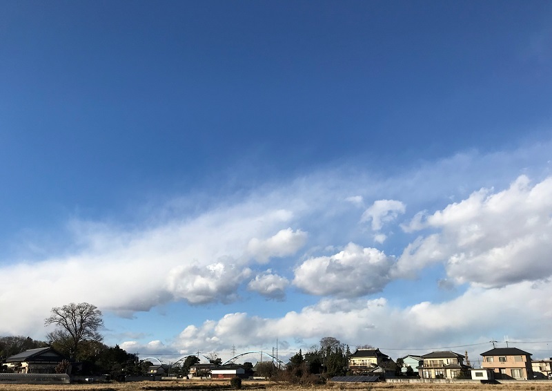 雪雲・・・（４４６２）_e0349324_16591655.jpg
