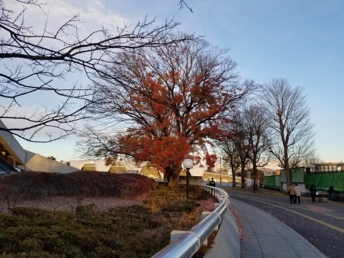 安保闘争は日本人の魂を賭けた闘争だった 「アメリカの世紀と日本 黒船から安倍政権まで」_e0016828_10070035.jpg