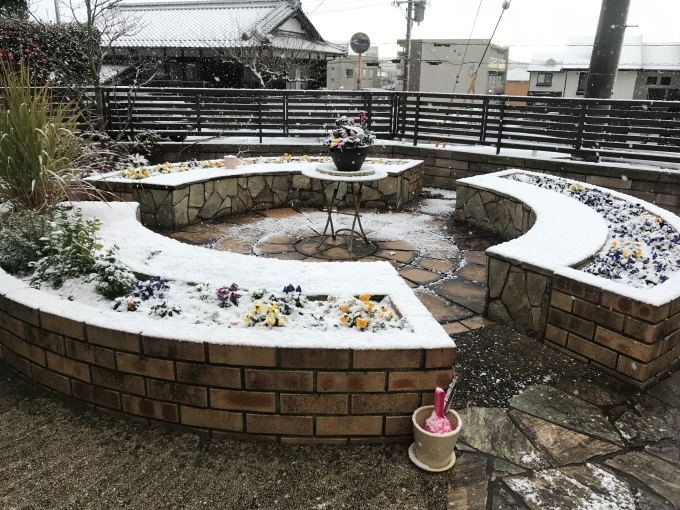 初雪- うれしいような気持ちになり_b0100062_08464750.jpeg