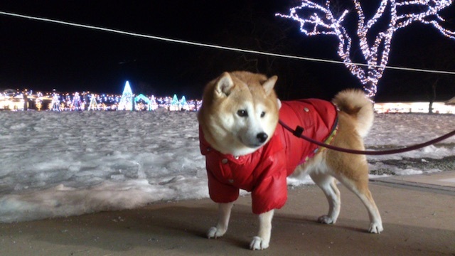 本当に大切なもの_b0274270_16454829.jpg