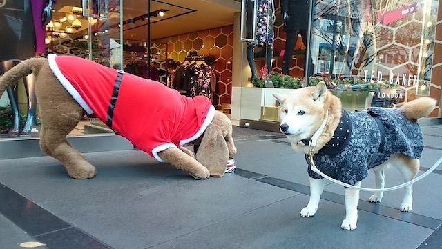 本当に大切なもの_b0274270_16455628.jpg