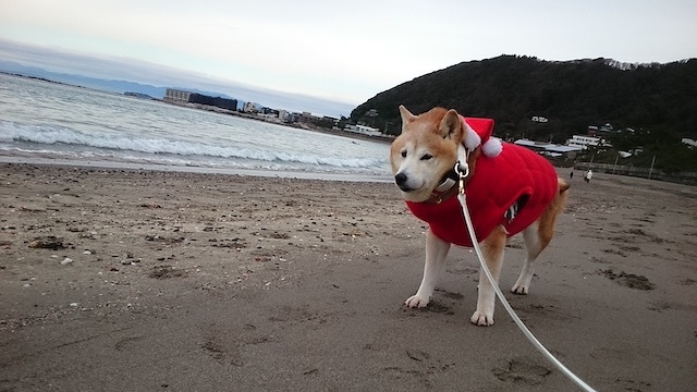 本当に大切なもの_b0274270_16462791.jpg