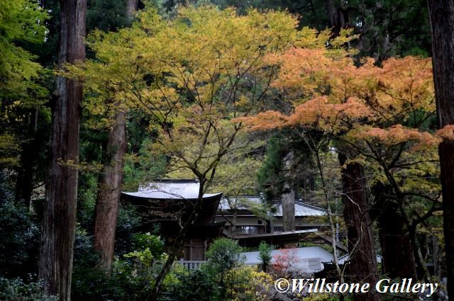 大雄山最乗寺 紅葉 花と風景の写真集 撮りたて花だより 大雄山最乗寺 紅葉 花と風景の写真集 撮りたて花だより