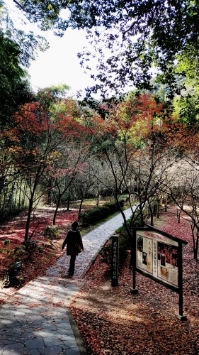 武雄神社から伊王島へ_d0195183_22590502.jpg