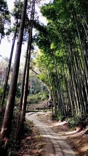 武雄神社から伊王島へ_d0195183_22593535.jpg